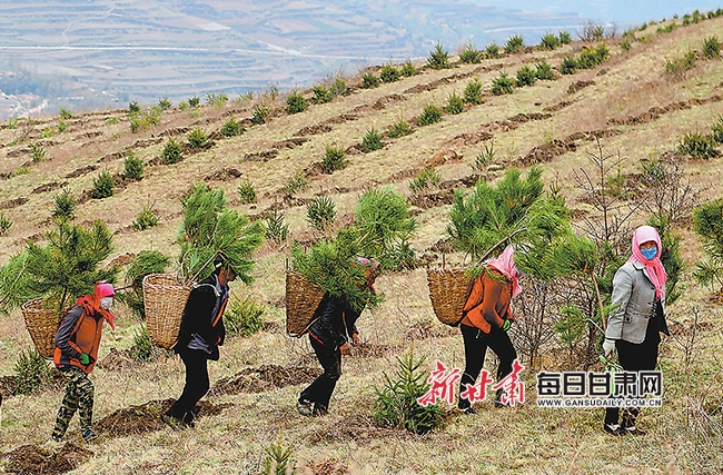 渭源县峡城乡脱甲山村群众进行国土绿化.